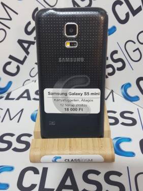 Samsung Galaxy S5 mini