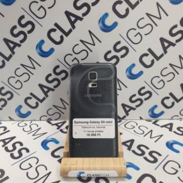 Samsung Galaxy S5 mini