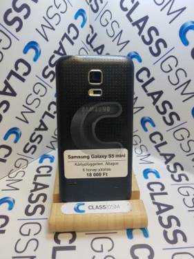 Samsung Galaxy S5 mini
